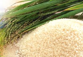 Rice mill requiring routine inspection