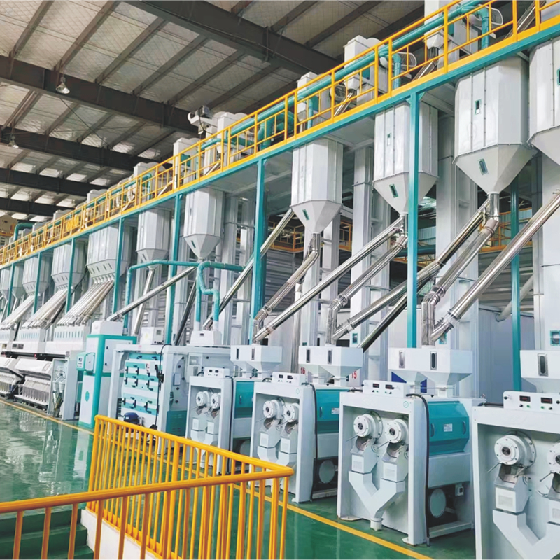 Integrated Grain Processing Plant